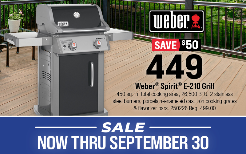 Weber® Spirit® E-210 Grill